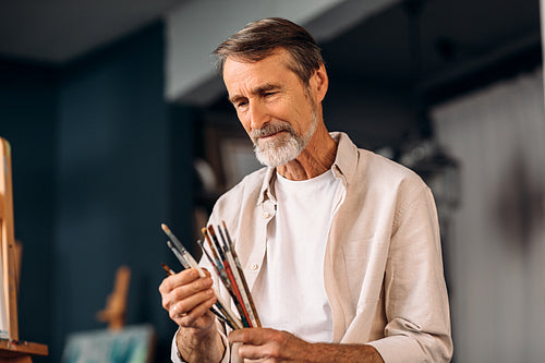 Portrait of senior painter holds a bunch of brushes choosing a one