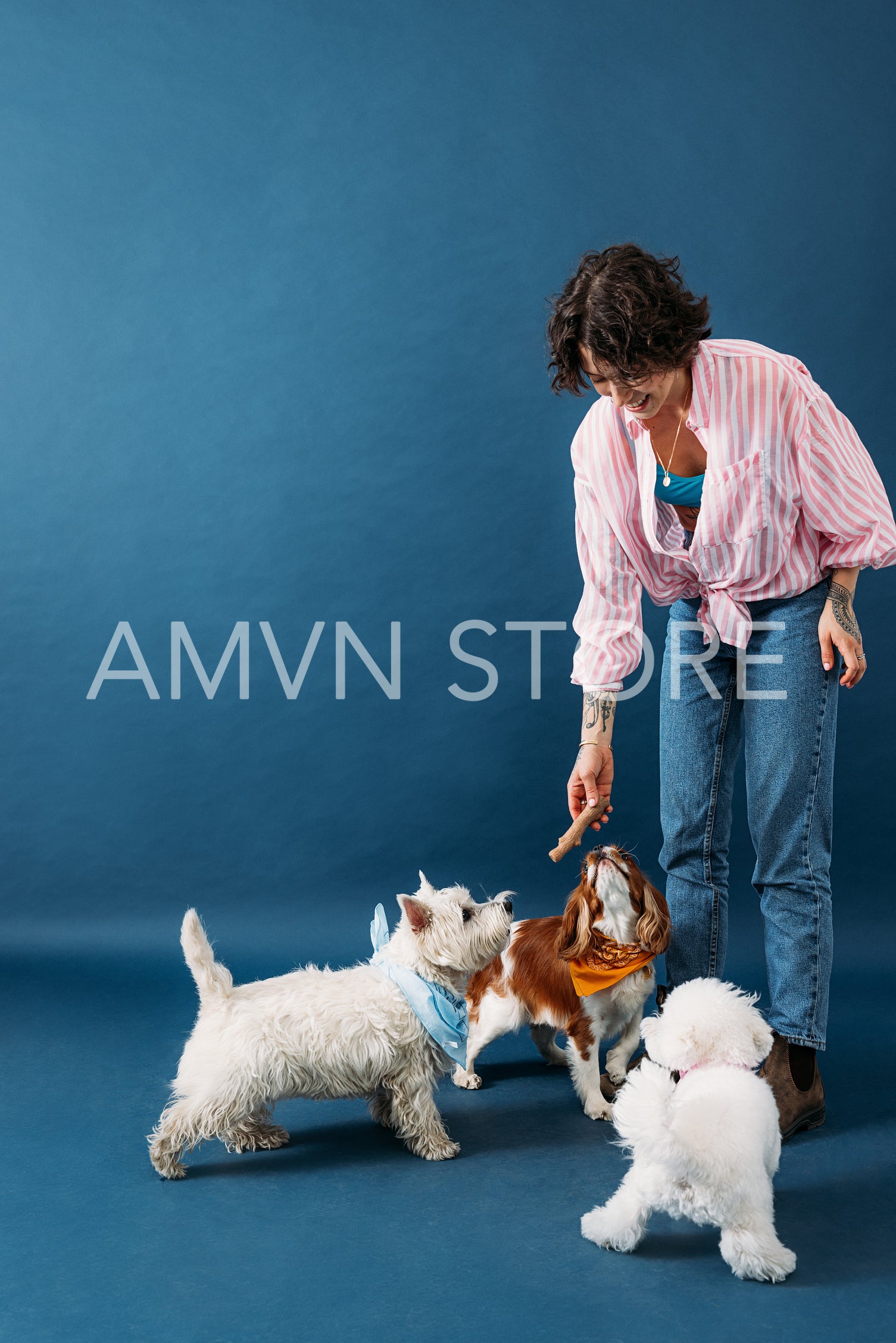 Young pet owner playing with three little dogs in the studio on 