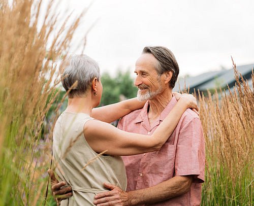 Smiling mature man with grey hair hugging her wife. Senior couple standing on a wheat field.