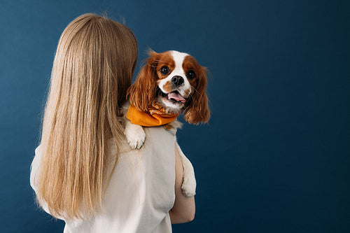 Pet owner holding a dog. Cute dog looking at camera against a bl