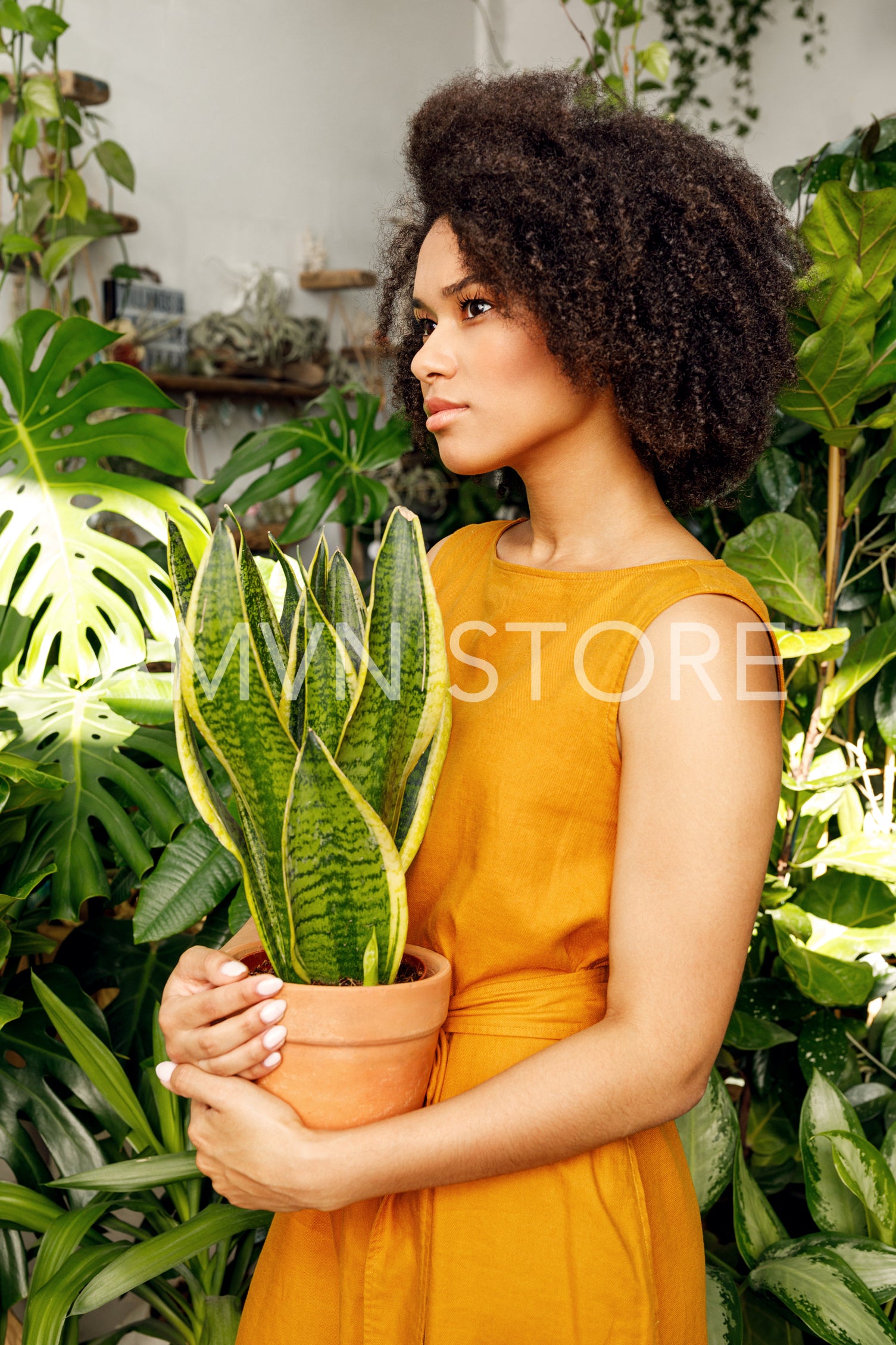 Beautiful woman florist holding a plant