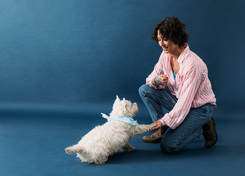 Woman shaking paw of cute dog. Young female kneeling as she hold