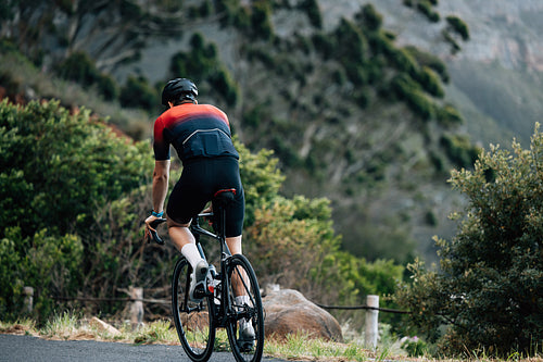 Back view on a cyclist riding a bicycle in wild terrain