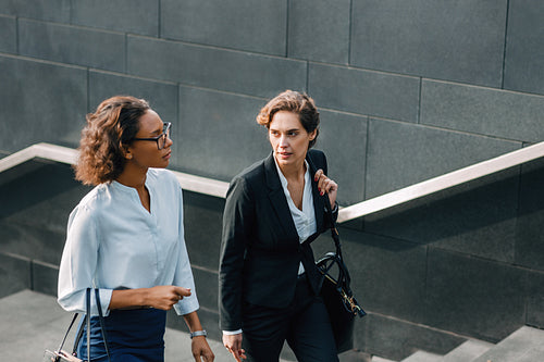 Women coworkers stepping up on the stairs and talking