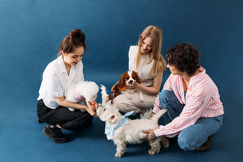 Three women with dogs. Pet owners sitting together on blue backg