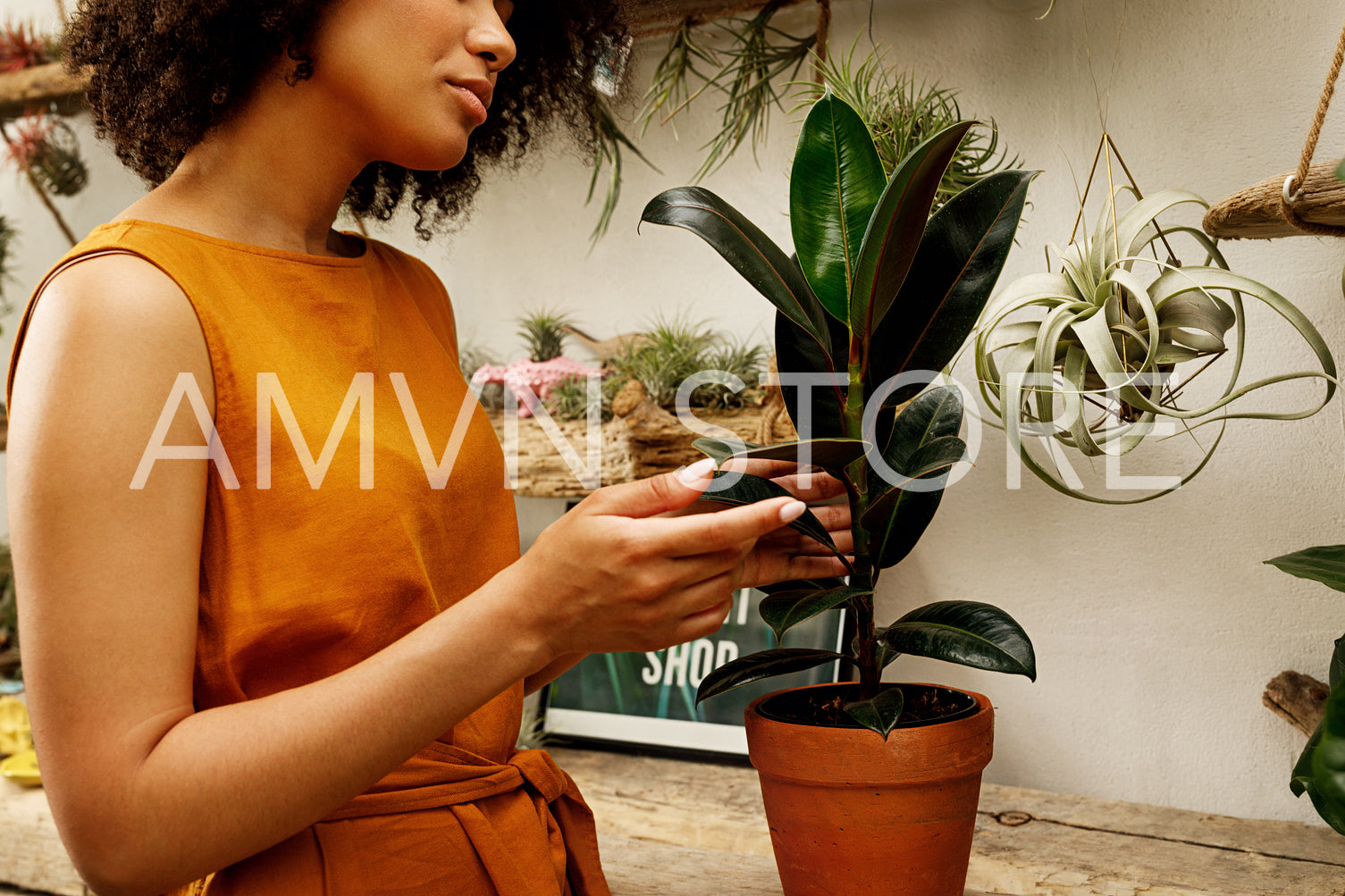 Side view of young female touching leaf of ficus in the botanical studio	