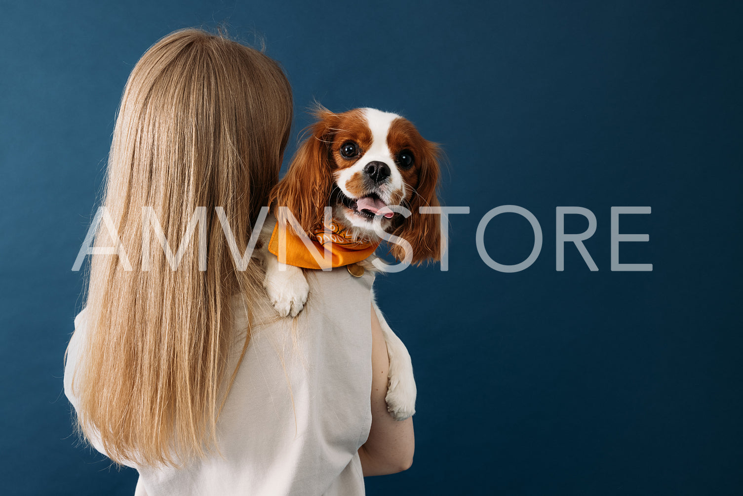 Pet owner holding a dog. Cute dog looking at camera against a bl