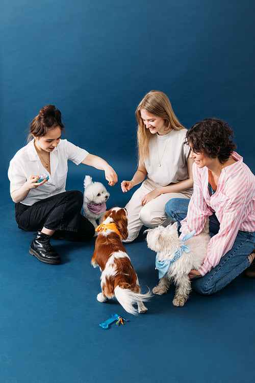 Three pet owners sitting on blue background in studio and playin