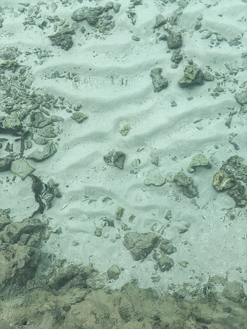 High angle view on a transparent tropical water