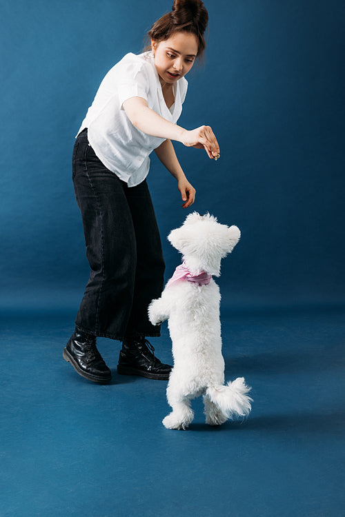 Young woman feeding her little fluffy dog and playing