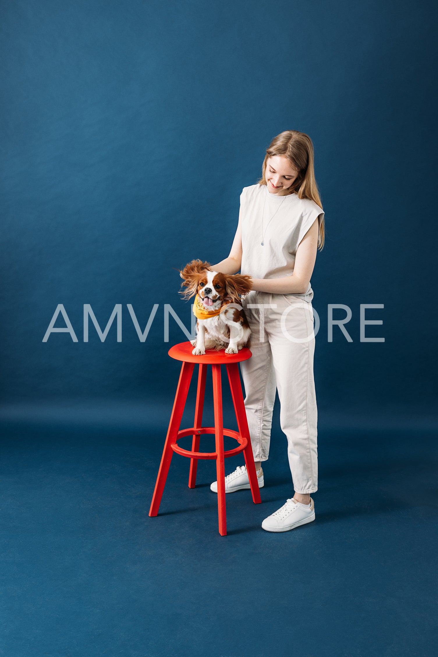 Cute dog sitting on red chair, while owner holding her ears agai