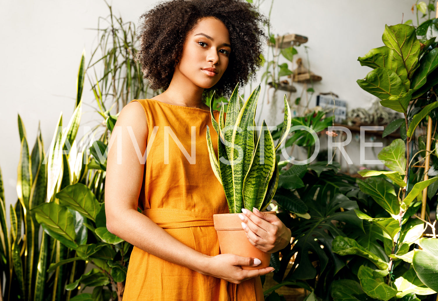 Beautiful woman florist holding a plant