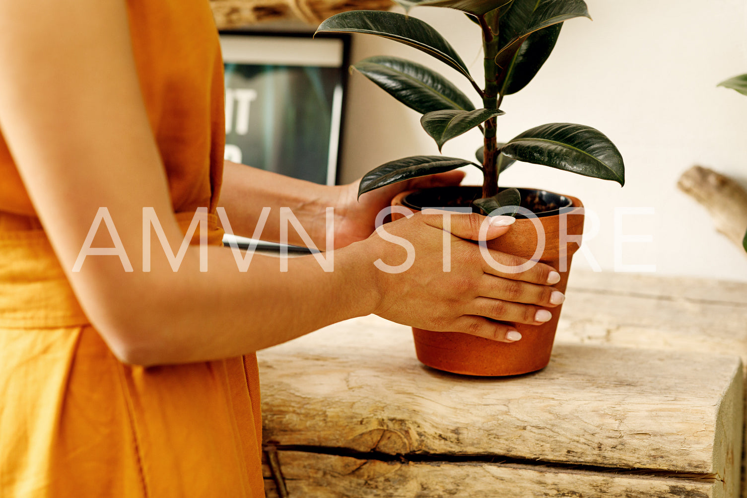 Unrecognizable woman florist working at her flower shop holding a pot	