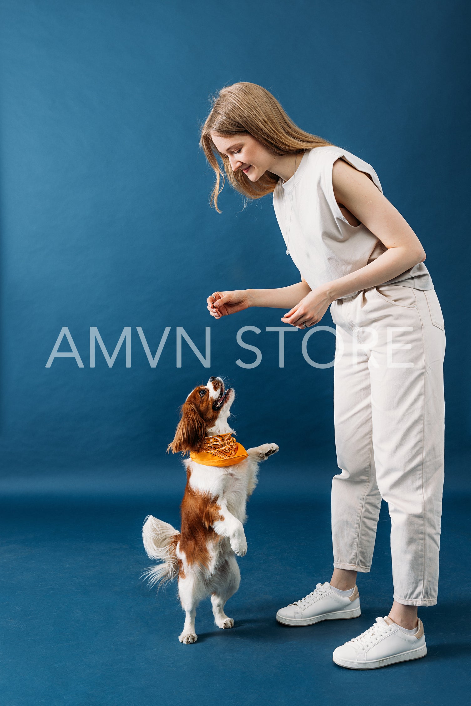 Little dog stands on its hind legs. Pet owner playing with cute 