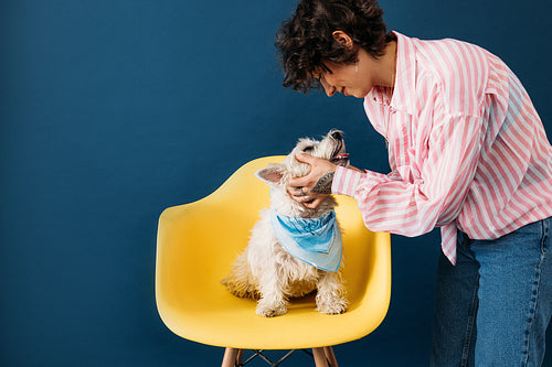 Side view of young pet owner touching her dog who is sitting on yellow chair