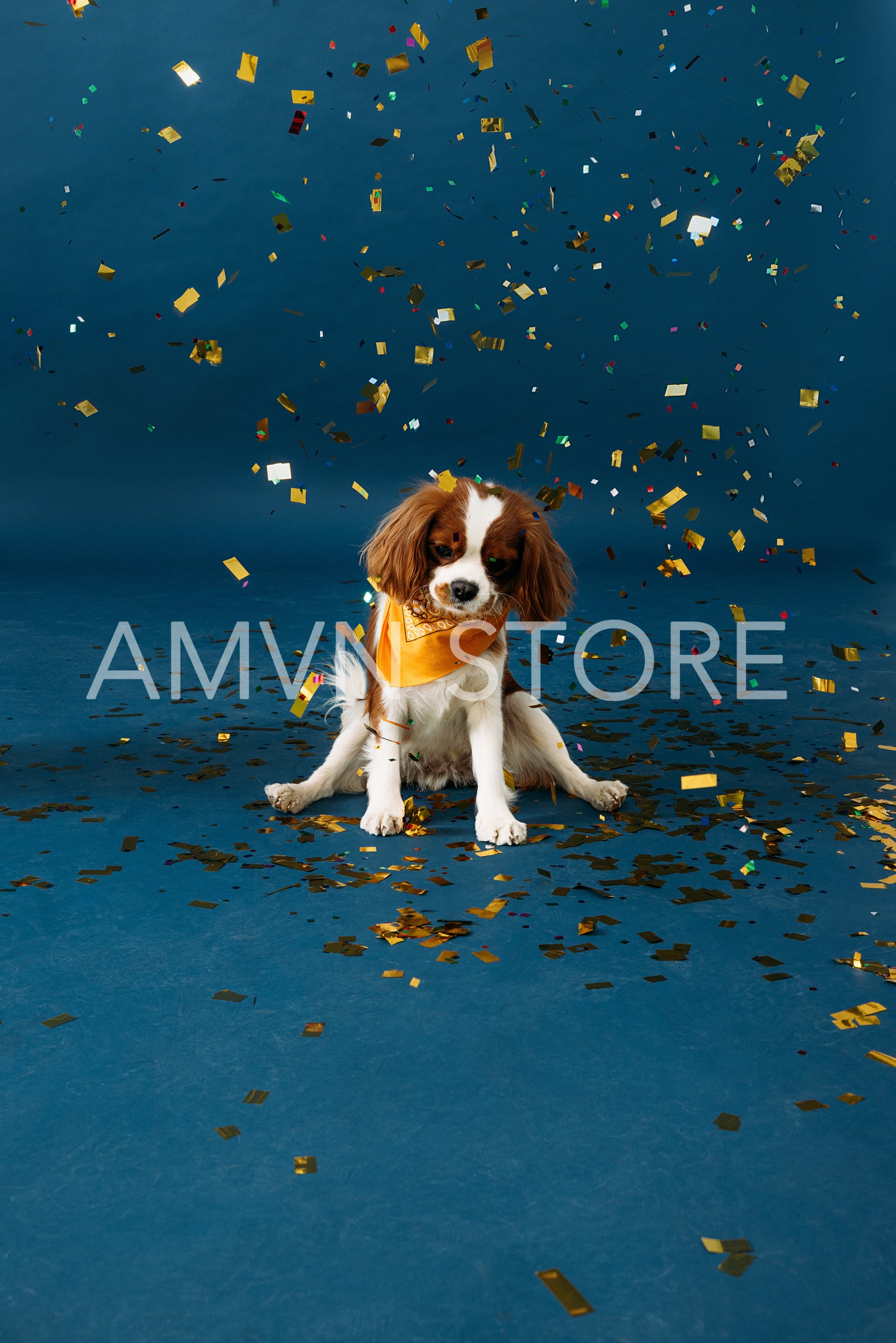 Cute little dog sitting on a blue background under golden confet