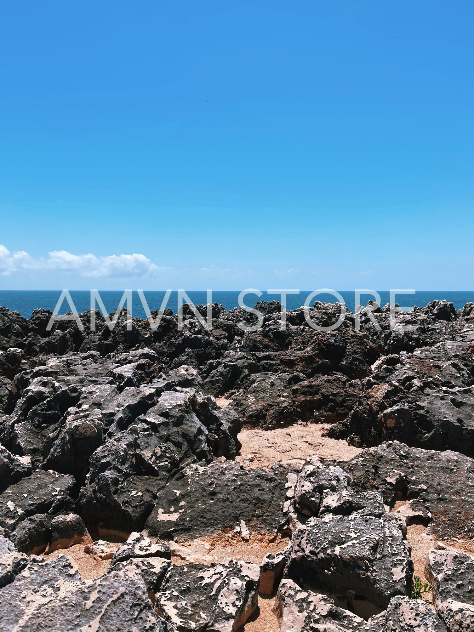 Many rocks on the coast near the ocean