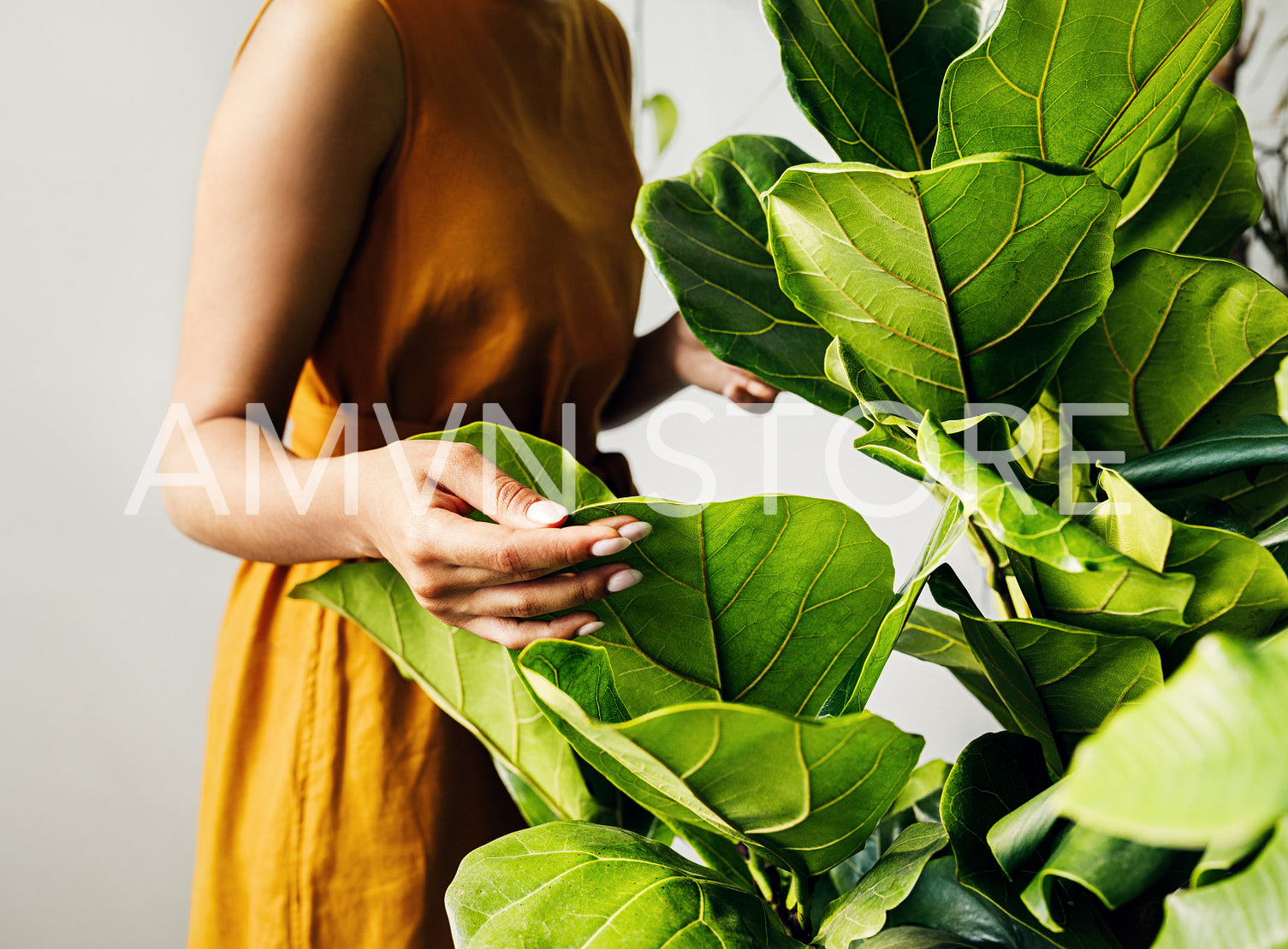 Hand of a young botanist holding a leaf. Woman florist working in plant shop.	