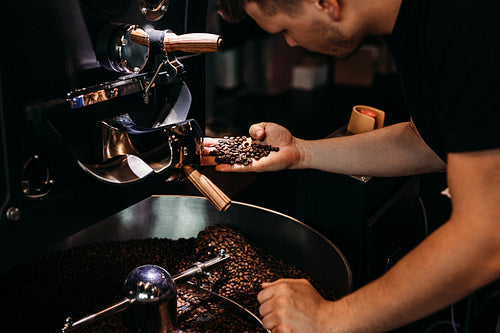 Man working at coffee production. Barista controling coffee grounds roasting process.