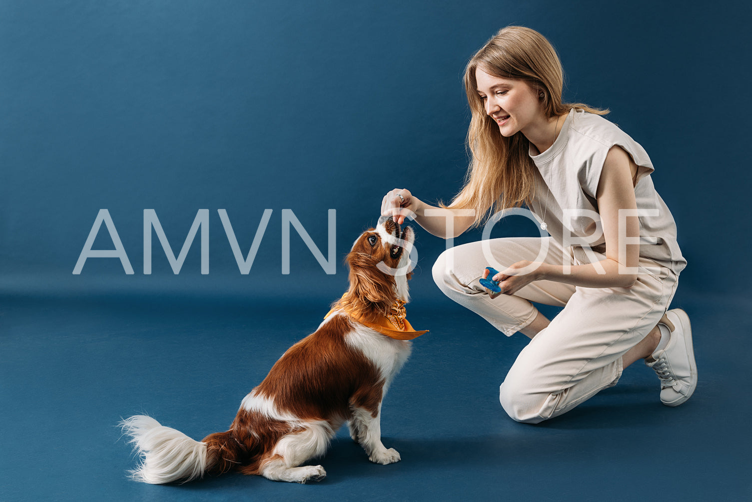 Young pet owner feeding her dog on blue backdrop in studio. Little dog eating from hands of a woman.